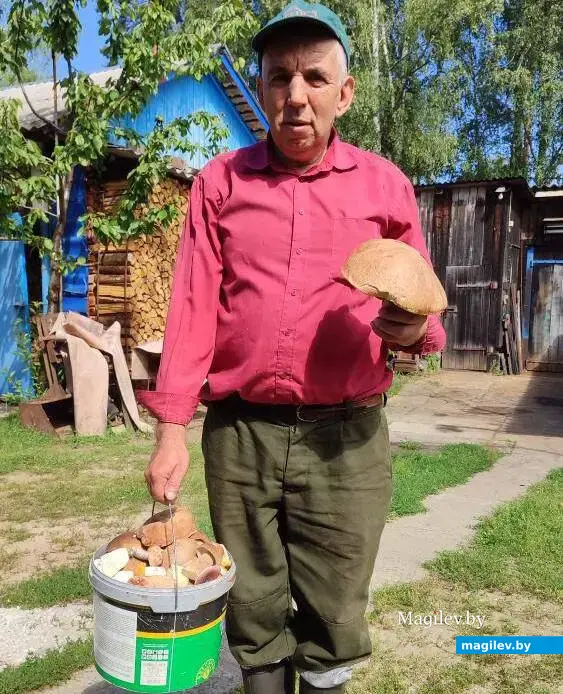 Улов Николая Матюшева из деревни Мирадино Бобруйского района.