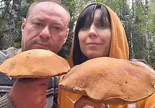 Подосиновики-гиганты, боровики из Мирадино и грибалка у бабушки