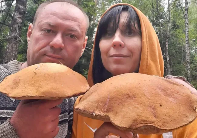 Подосиновики-гиганты, боровики из Мирадино и грибалка у бабушки