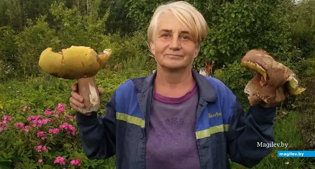 Чудо-боровики Татьяны Король из Минска.