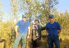 Минчанка приехала в Осиповичский район за голубикой и потерялась в лесу