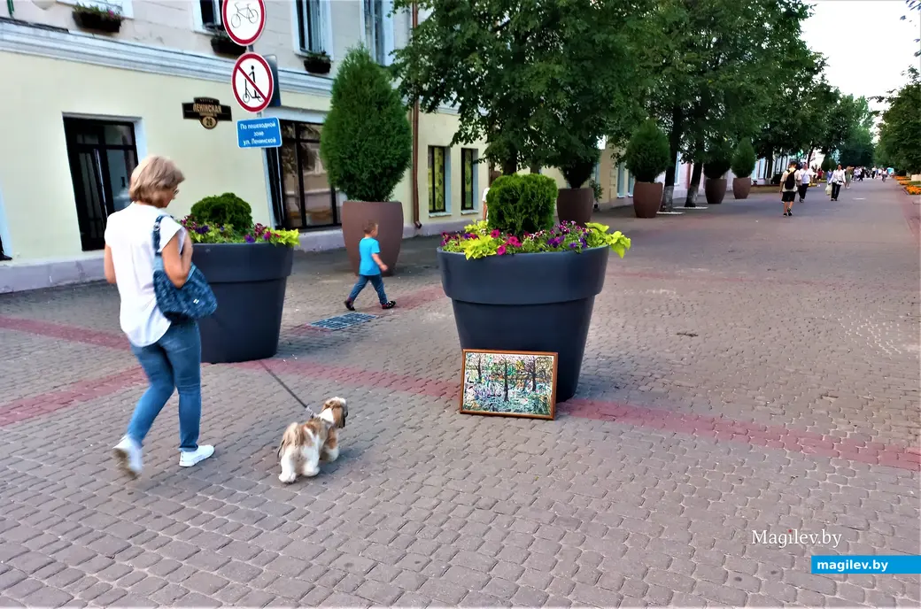 Район Пожарного переулка и наша картина. Могилев, август, 2023 г.