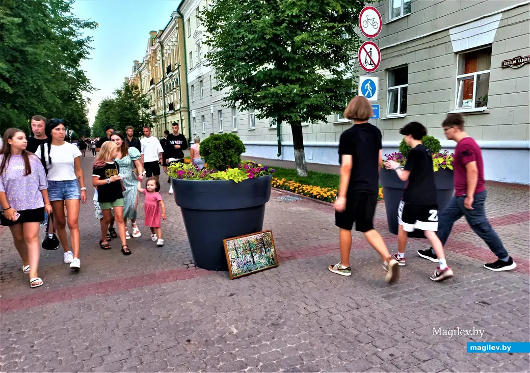 Район Пожарного переулка и наша картина. Могилев, август, 2023 г.