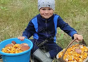 «Огорчение… грибов мало». Наш конкурс «Грибалка удалась» продолжается