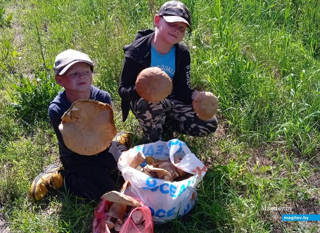 Фото Антонины Трибушевской из Осиповичей. На нем Матвей и Илья.