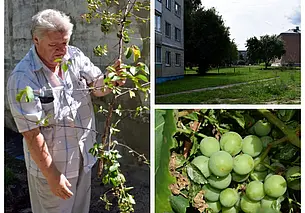 Для одних – «кислород», для других – «беспредел»