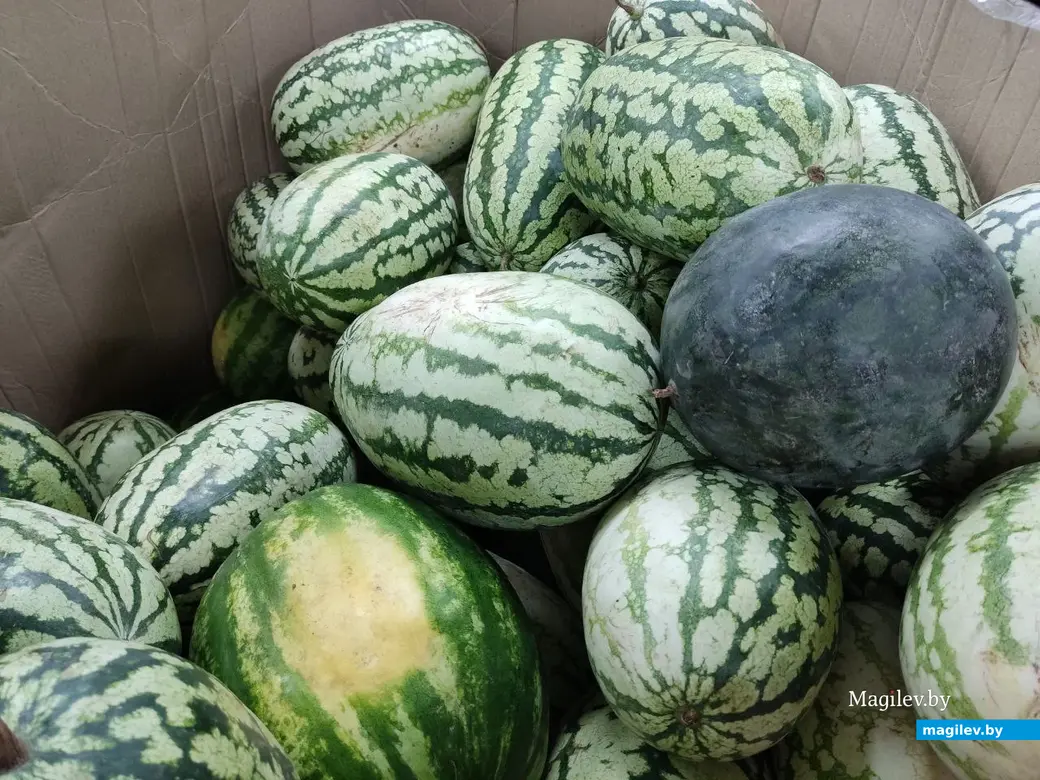 Магазин «Доброцен» на Симонова. Могилев, 17.08.2023 г.