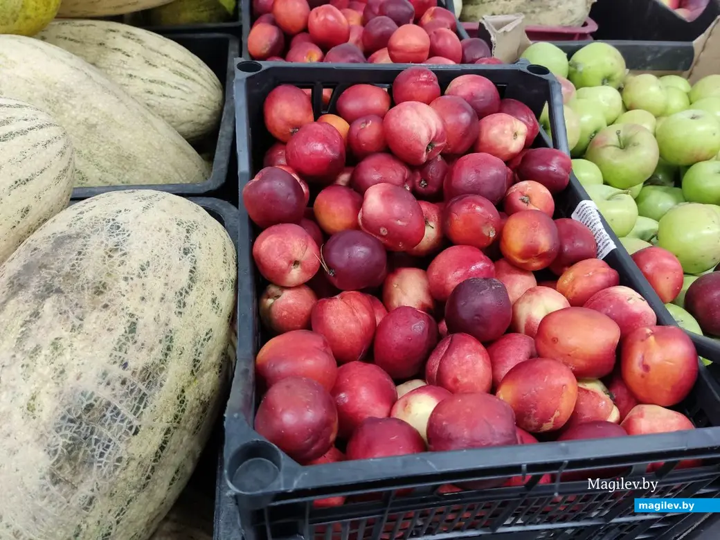 Магазин «Доброцен» на Симонова. Могилев, 17.08.2023 г.