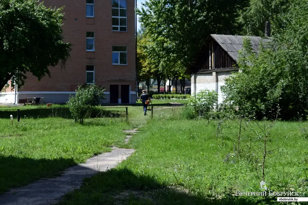 Бобруйск, ул. Черняховского. Тропа преткновения между соседями.