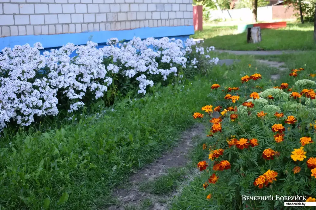 Бобруйск, ул. Черняховского.