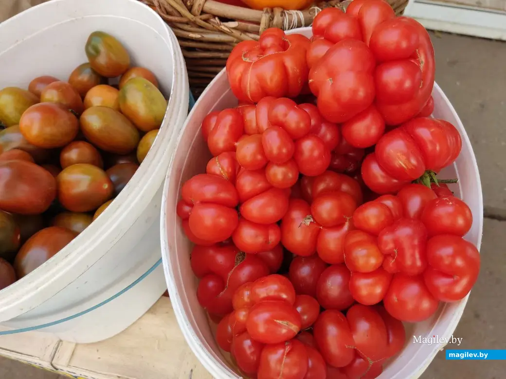 Рынок на улице Островского. Могилев, 18.08.2023 г.