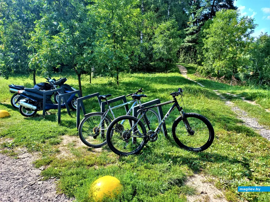 Могилев, Печерское озеро, 18.08.2023 г.