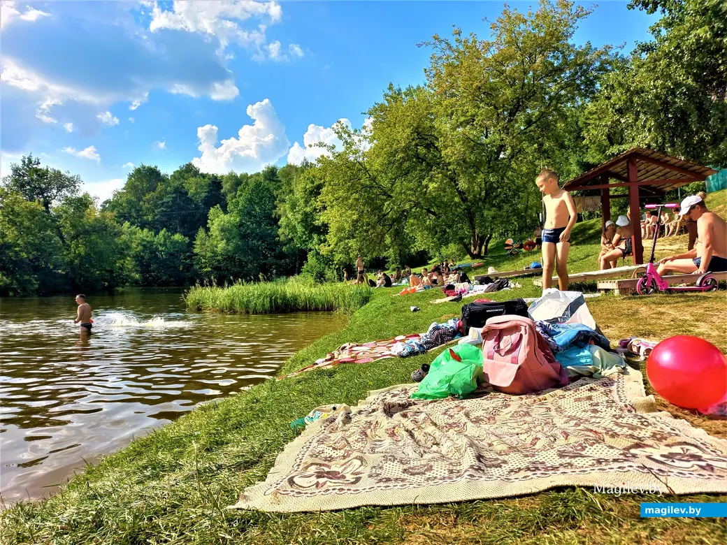 Могилев, Печерское озеро, 18.08.2023 г.