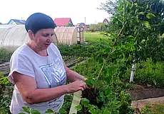 «Чтобы бизнес приносил прибыль, он должен быть, как щупальцы: один обрезали, вырастает второй»  История успеха могилевской предпринимательницы