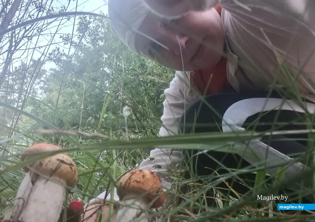 Трофеи Ольги Бураковой из Бобруйска.
