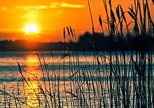 Посещать леса без ограничений можно в 12 районах Беларуси