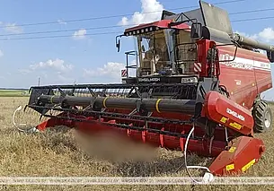 В Чериковском районе работник сельхозпредприятия упал в жатку комбайна. Мужчина погиб