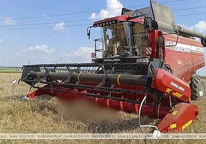 В Чериковском районе работник сельхозпредприятия упал в жатку комбайна. Мужчина погиб