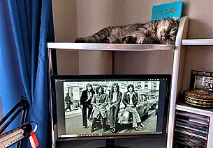 Могилевская диета: манка – овсянка. Во имя «Led Zeppelin»