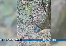 «Угостился» сам и поделился со знакомой: за смерть бобруйчанки от отравления психотропом ответит курьер