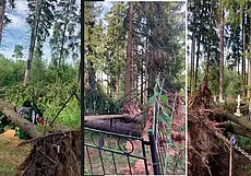 Мёртвые не умеют жаловаться, а живые, видно, забыли… Видео последствий непогоды на Боровском кладбище под Могилевом (дополнено)