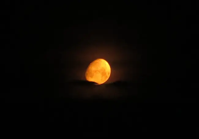 Могилевчане смогут увидеть суперлуние в ночь на 31 августа, но уже сейчас Луна впечатляет. Фотофакт