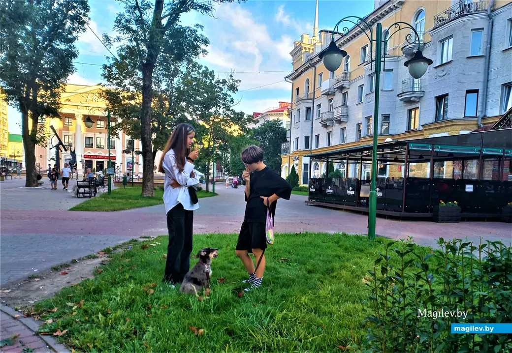 Творческая акция «Острова добра» в защиту животных. Могилев, Комсомольский сквер, 27.08.2023 г.