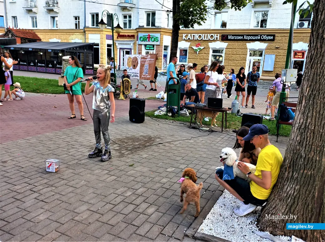 Творческая акция «Острова добра» в защиту животных. Могилев, Комсомольский сквер, 27.08.2023 г.