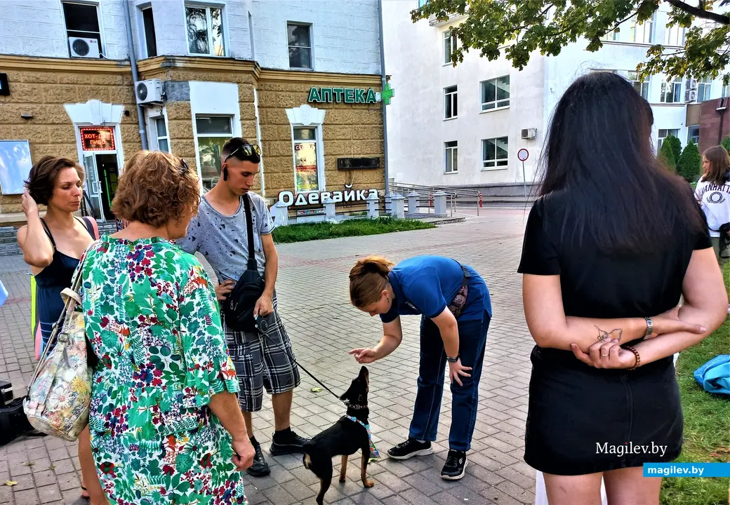 Творческая акция «Острова добра» в защиту животных. Могилев, Комсомольский сквер, 27.08.2023 г.