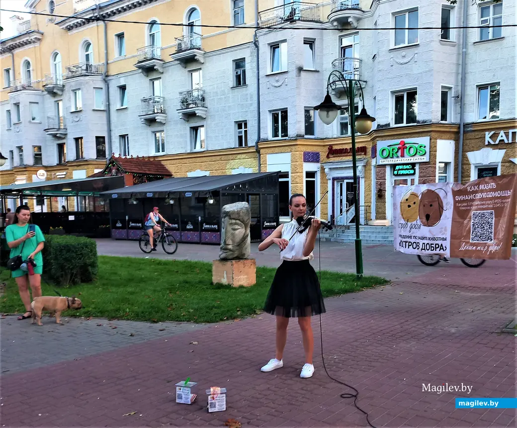 Творческая акция «Острова добра» в защиту животных. Могилев, Комсомольский сквер, 27.08.2023 г.