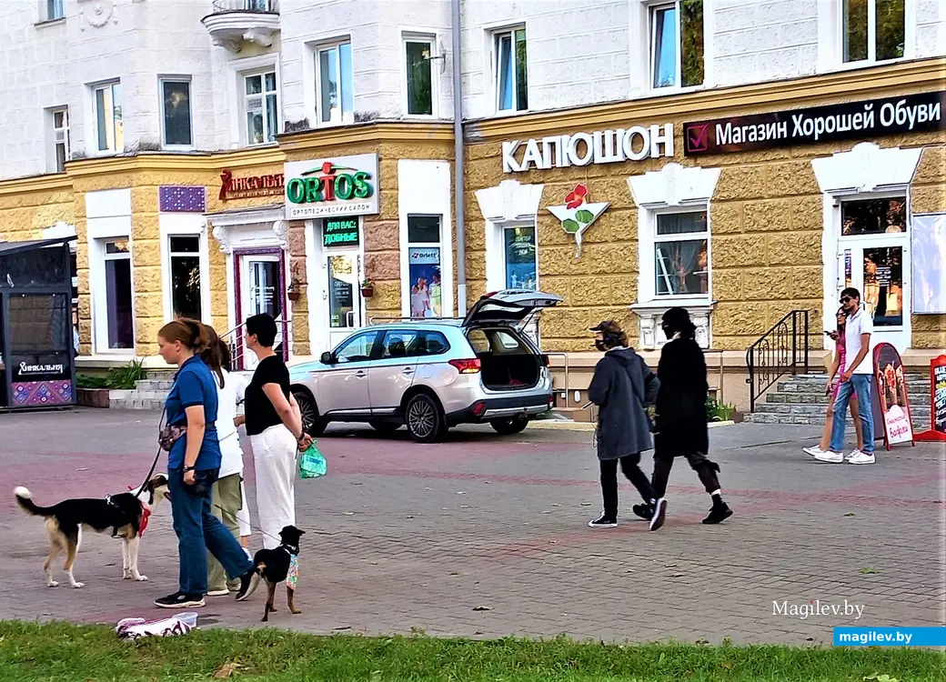 Творческая акция «Острова добра» в защиту животных. Могилев, Комсомольский сквер, 27.08.2023 г.