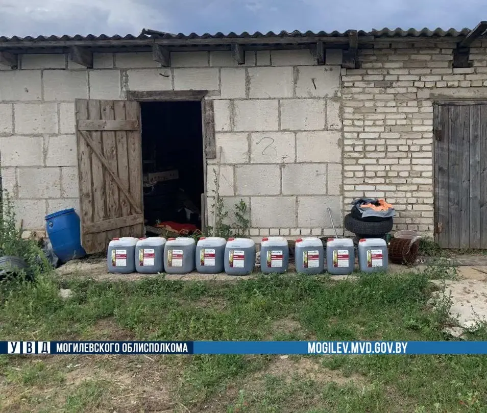 Общая сумма ущерба составила 3 425 рублей. Фото: ТГ-канал «Милиция Могилевщины».