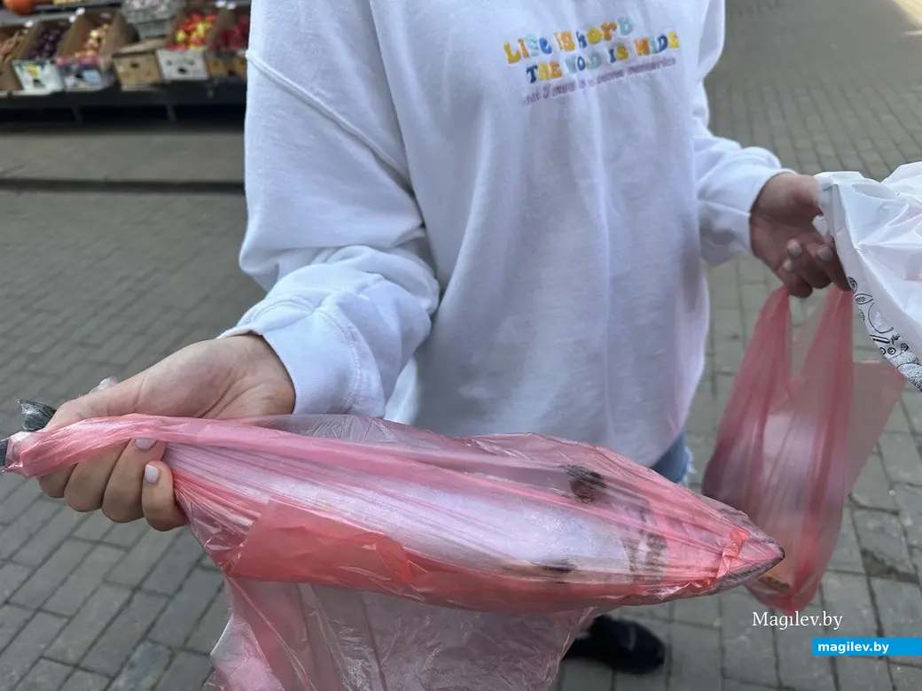 Без покупок не уходил никто. Могилев, рыбный павильон на Центральном рынке, август 2023 года.