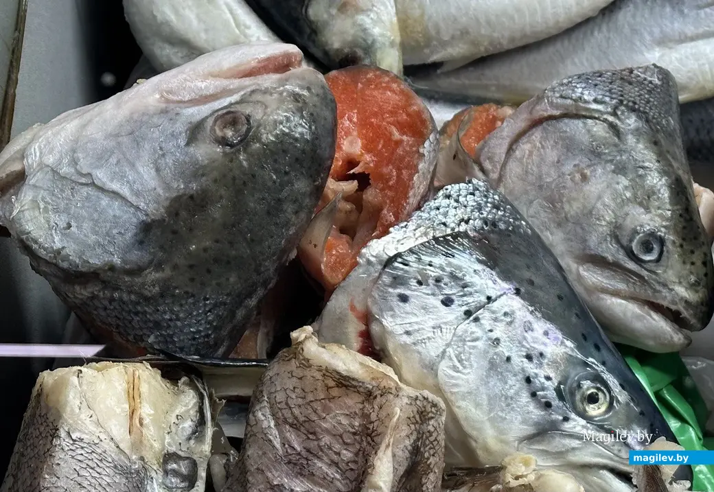 На каждый товар есть свой купец. Могилев, рыбный павильон на Центральном рынке, август 2023 года.