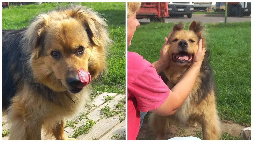 Нежная Алиса