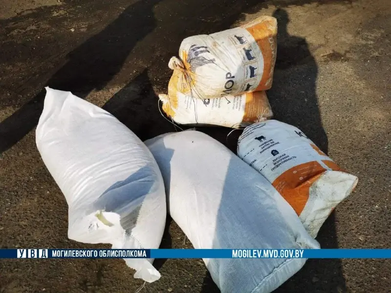 Мешки с комбикормом были спрятаны на территории домовладения одного из работников. Фото: ТГ-канал «Милиция Могилевщины».