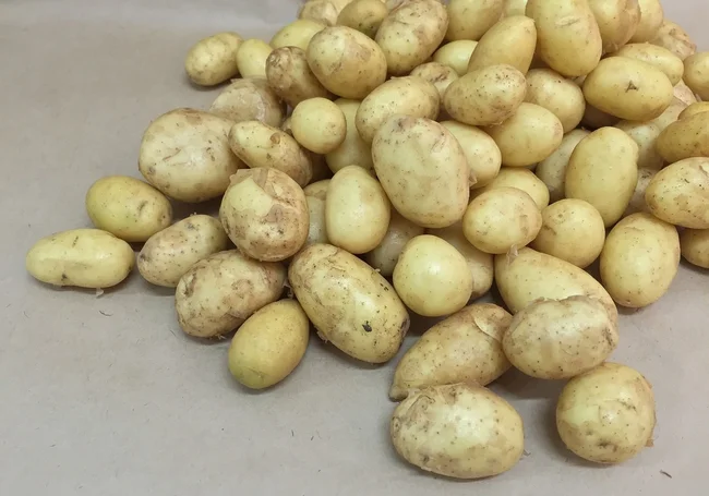 В Могилеве проведут консультацию о подработке на уборке урожая. Дата уже известна