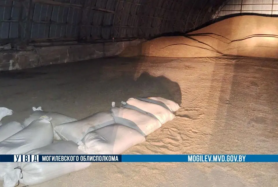 Объем похищенного превысил полтонны. Могилевская область, Кировский район. Фото: ТГ-канал «Милиция Могилевщины».