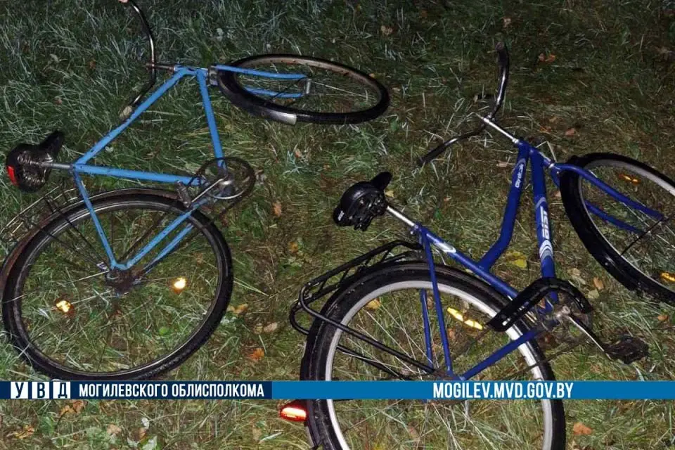 Похищенное собирались увозить на велосипедах. Могилевская область, Кировский район. Фото: ТГ-канал «Милиция Могилевщины».