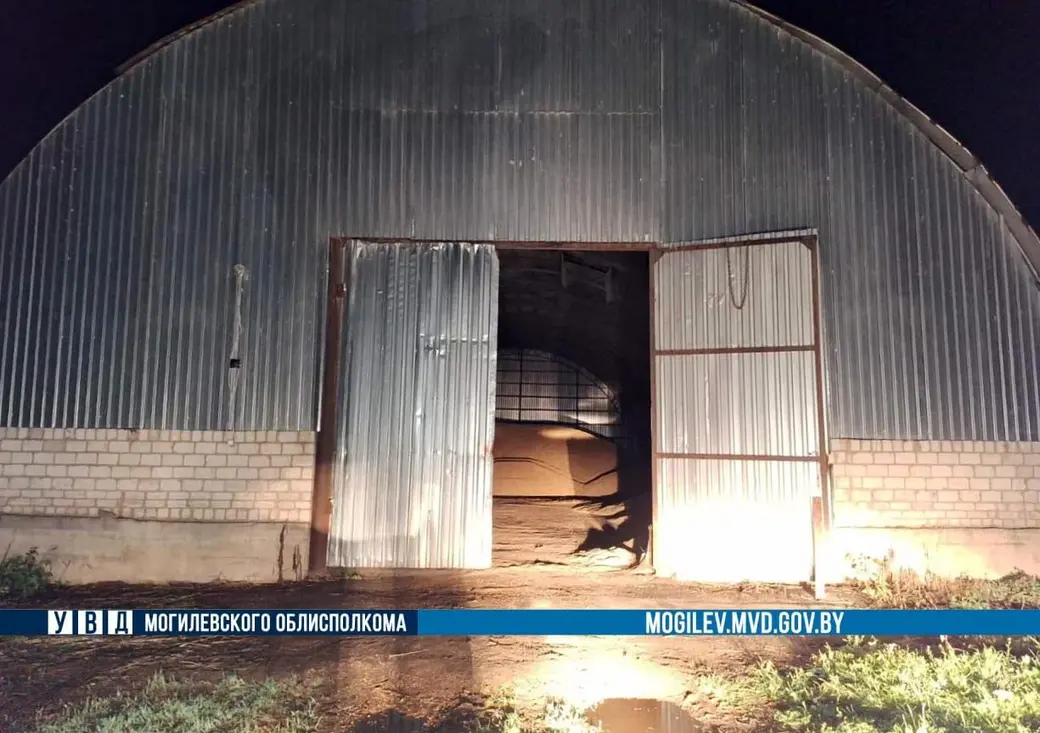 Ячмень вернули в хозяйство. Могилевская область, Кировский район. Фото: ТГ-канал «Милиция Могилевщины».