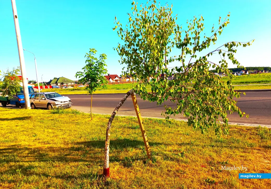 Держись, подруга!