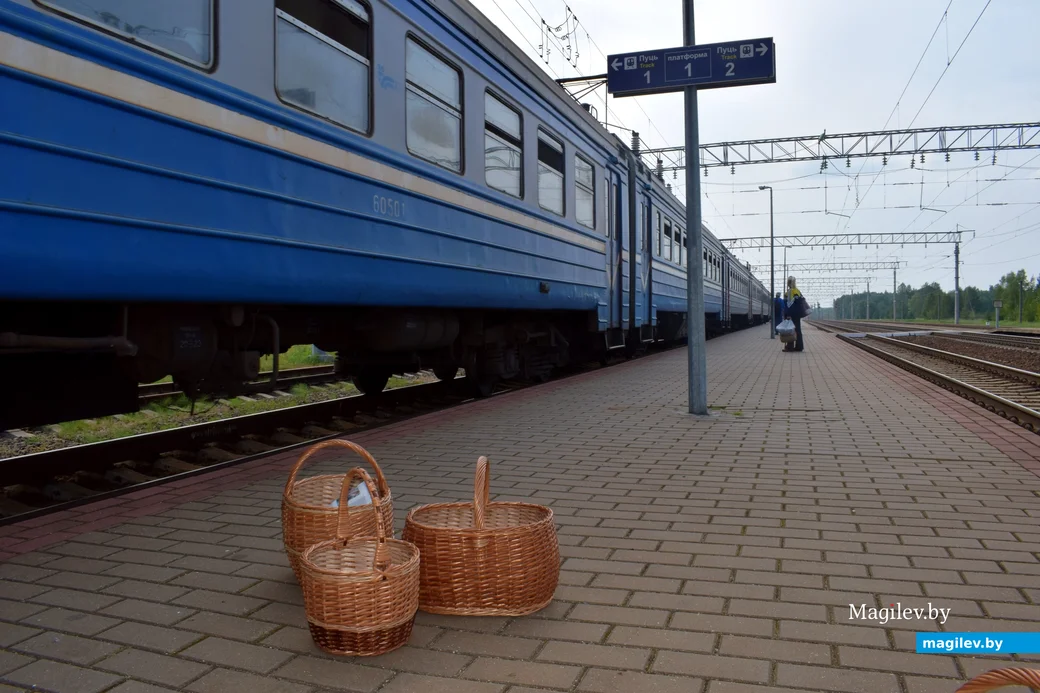 30,08.2023, Мирадино.