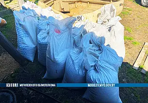 Родственнице нужнее: механизатор украл 850 килограммов зерна