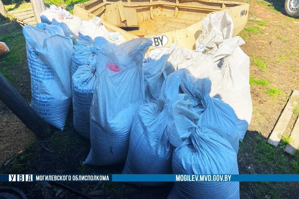 Фото: УВД Могоблисполкома