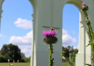 До +25 и преимущественно без осадков: прогноз погоды на 9-11 сентября