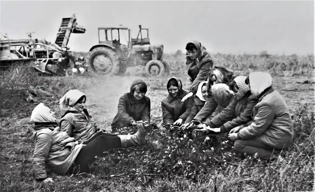 Студентки Могилевского педагогического института на «прогревании». 1973 год.