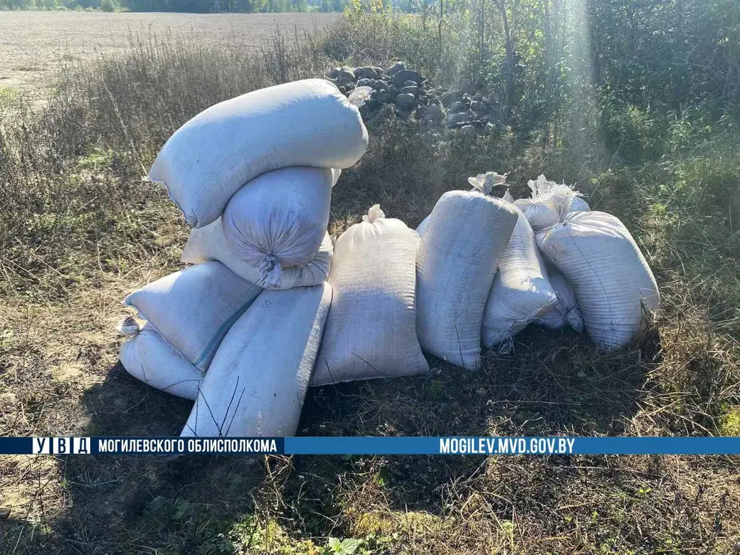 Похищенное изъято и возвращено на предприятие. Фото: ТГ-канал «Милиция Могилевщины».