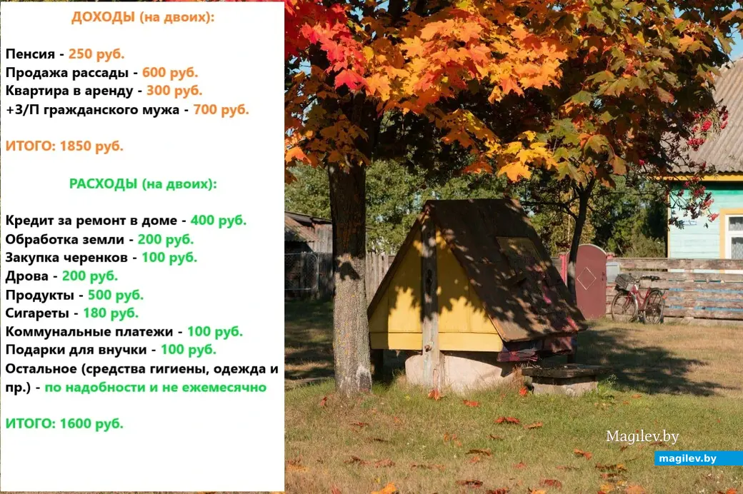 Доходы и расходы нашей героини и ее гражданского мужа.