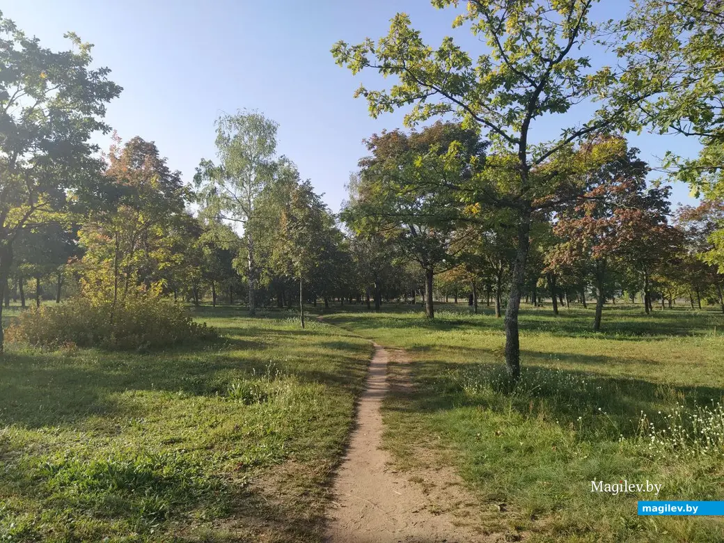 Парк в районе Святого озера. Могилев. Сентябрь 2023 года.