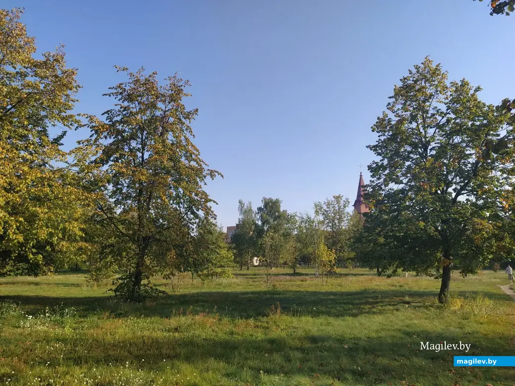 Парк в районе Святого озера. Могилев. Сентябрь 2023 года.